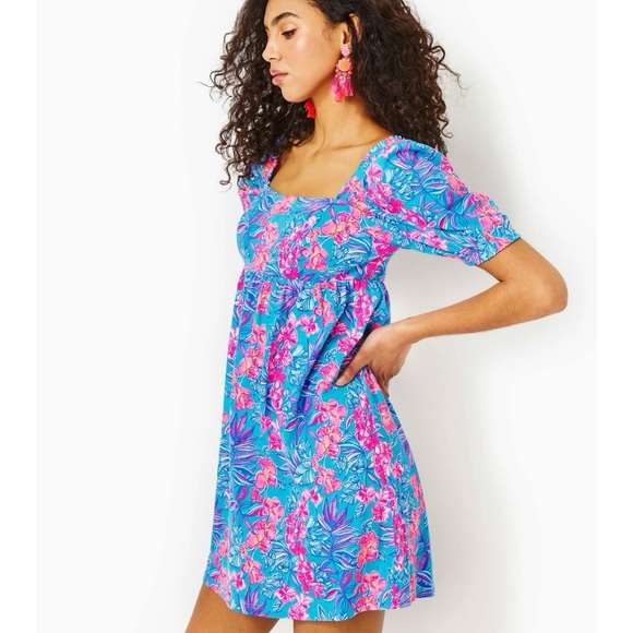 Lilly Pulitzer Delaney Short Sleeve Dress - Blue and Pink - Size 2 - Picture 2 of 15